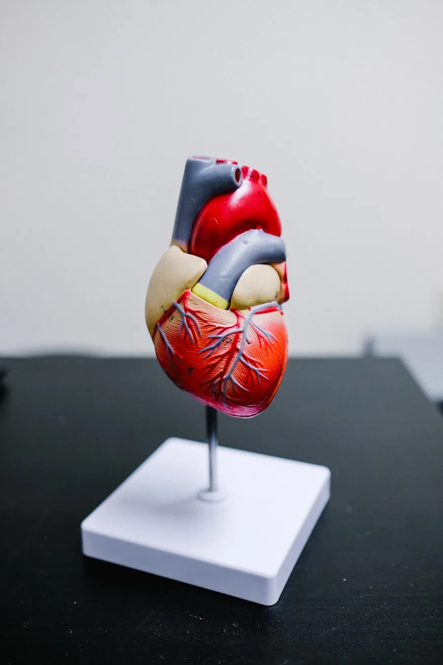 Cath Lab & Cardiac Care